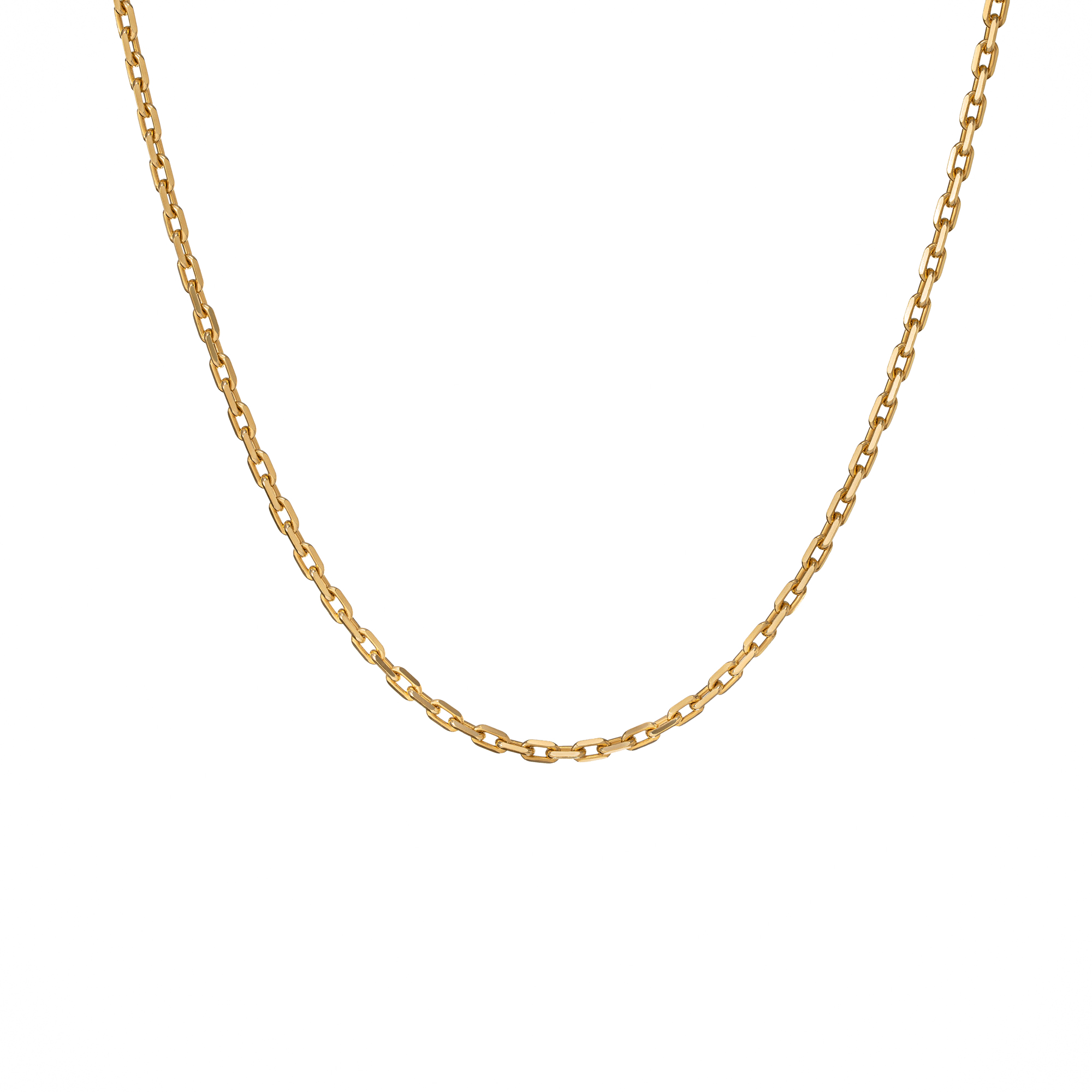 Gold Anchor Chain (medium)